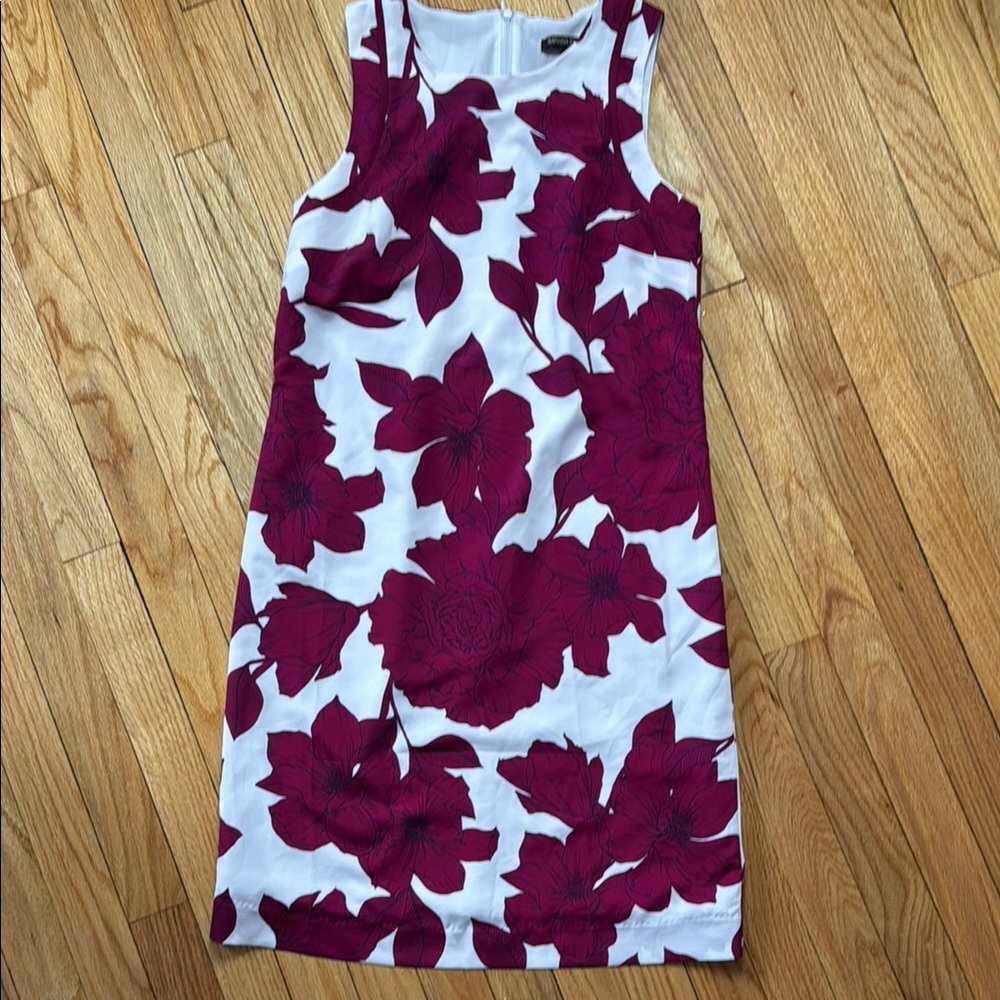 Banana Republic Dress Women's Floral Sleeveless Dress White and Maroon Size 0